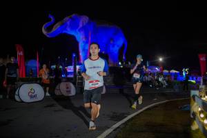 BIB: 
                            <button type="button" onclick="openModal(26551855)" class="btn btn-primary btn-sm float-right btn-popup" data-toggle="modal" data-target=".modal-high-quality">
                        <i class="fas fa-shopping-cart"></i> Add to Cart
                    </button>
                                            <button type="button" onclick="isThisMe(26551855, true)" class="btn btn-success btn-sm float-right btn-popup btn-isme hidden" data-toggle="tooltip" data-placement="bottom" title="นี่คือรูปของคุณใช่ไหม คลิกที่นี่เพื่อเอาเข้าอัลบั้ม">
                        <i class="fas fa-plus"></i> Add to album
                    </button>
                    <button type="button" onclick="isThisMe(26551855, false)" class="btn btn-warning btn-sm float-right btn-popup btn-isnotme hidden">
                        <i class="fas fa-ban"></i> Remove from album
                    </button>